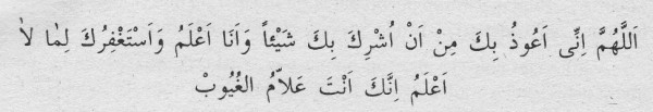 ahmedziyauddinikincidua
